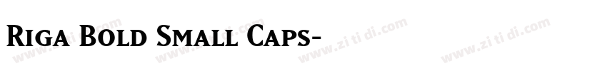 Riga Bold Small Caps字体转换 Riga Bold Small Caps字体转换